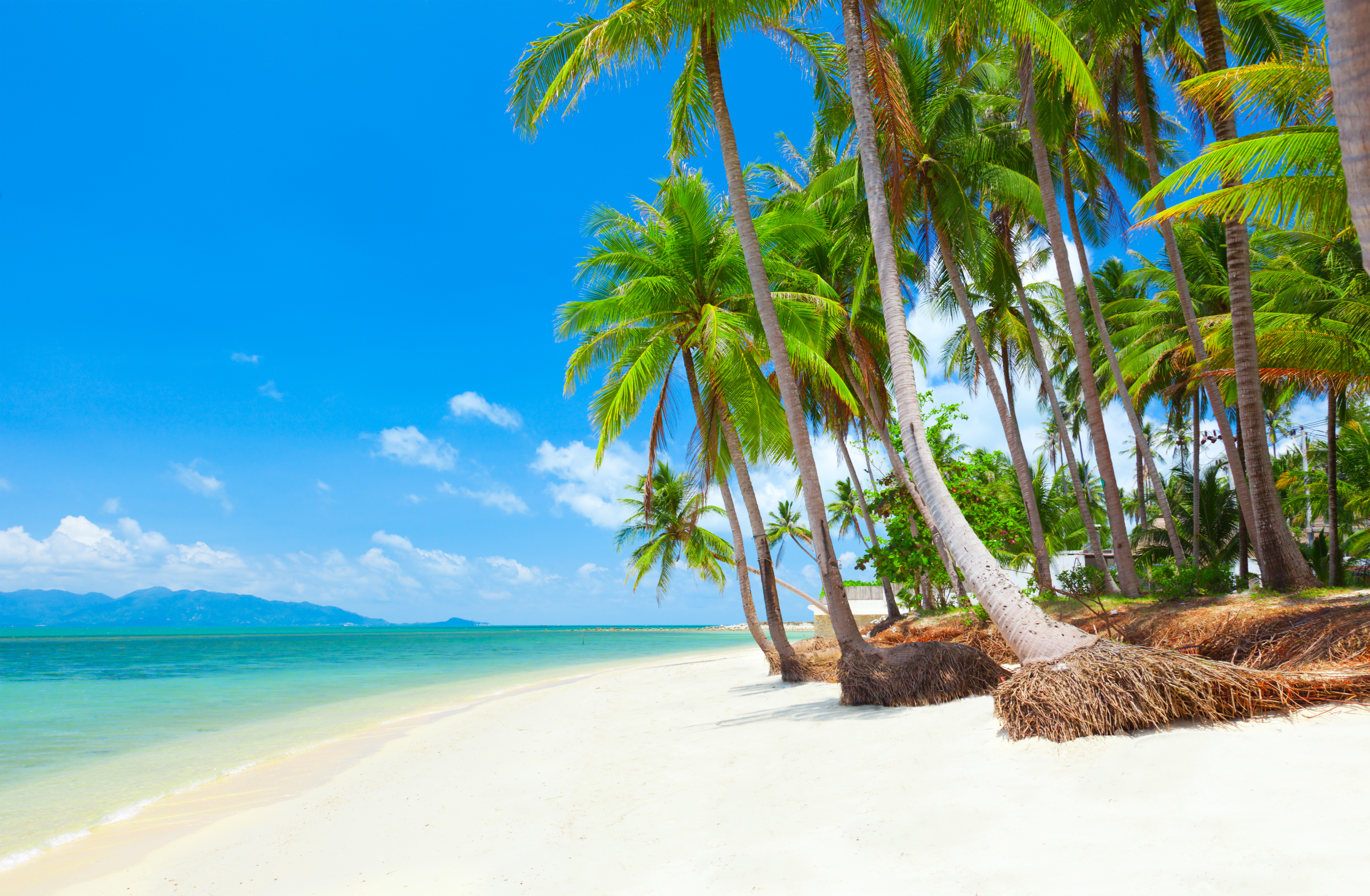 Koh Samui & Beyond